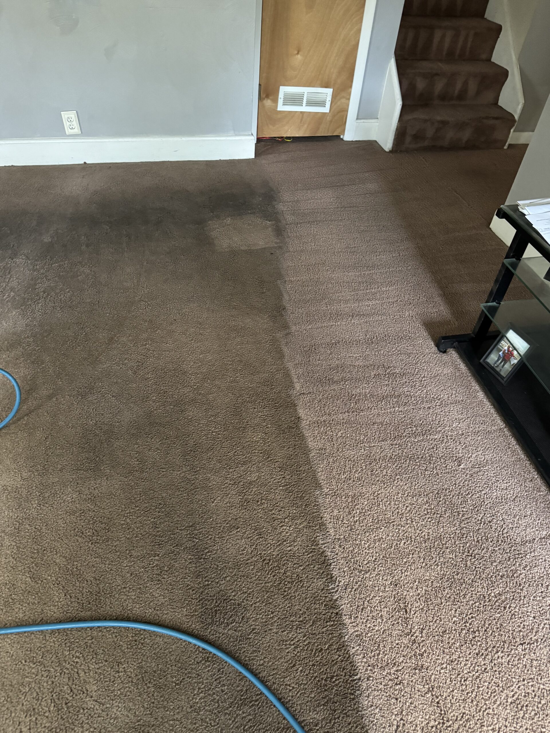 Before and after carpet cleaning result in a Virginia Beach home