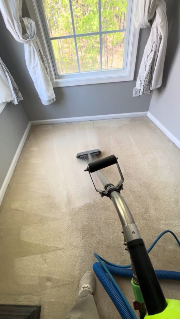Professional Carpet Cleaning in Virginia Beach Professional carpet cleaning in Virginia Beach by Green Line Cleaning Company
