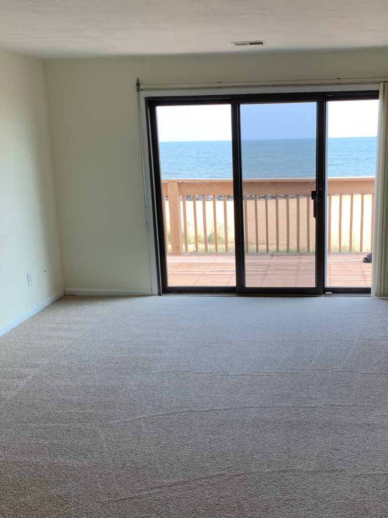 Professional carpet cleaning in Virginia Beach with oceanfront view