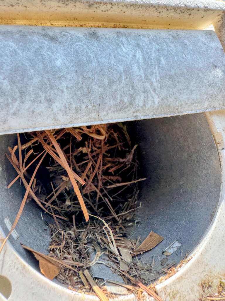 Bird nest blocking the exterior dryer vent, restricting airflow and creating a potential fire hazard.